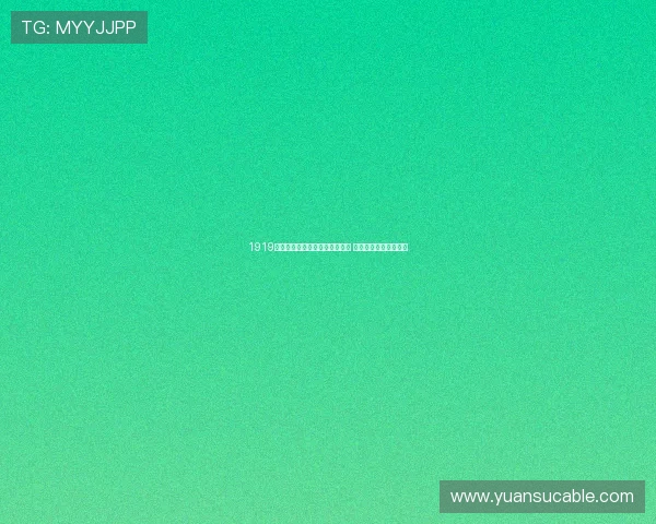 1919体育官网打造全新线上购物体验 引领智能化消费新潮流